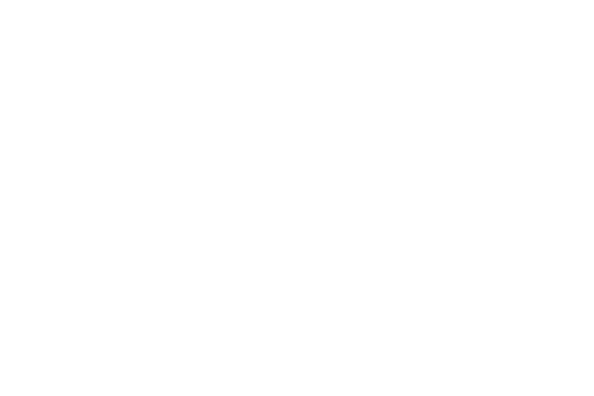 Ms. Foundation for Women